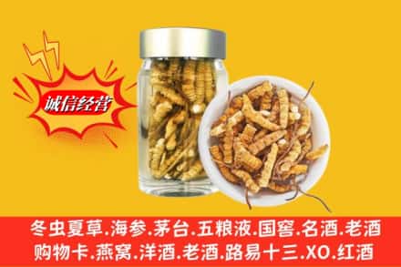 台安县回收散虫草