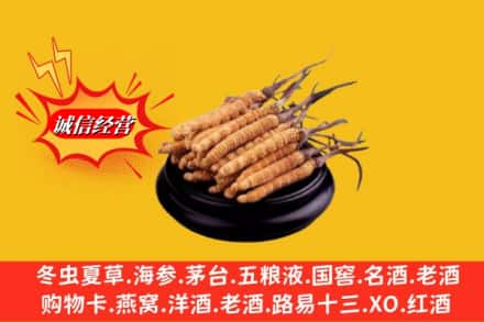 台安县求购回收虫草多少钱每克